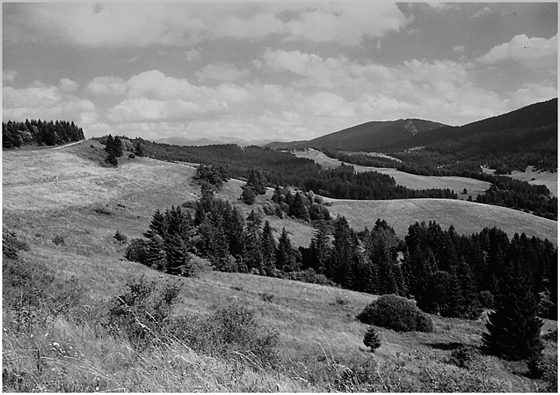 negpol_0003-slovenska-krajina-ii