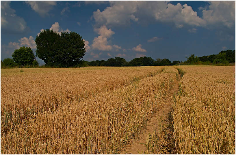 p7165021v-cervenci-i-i