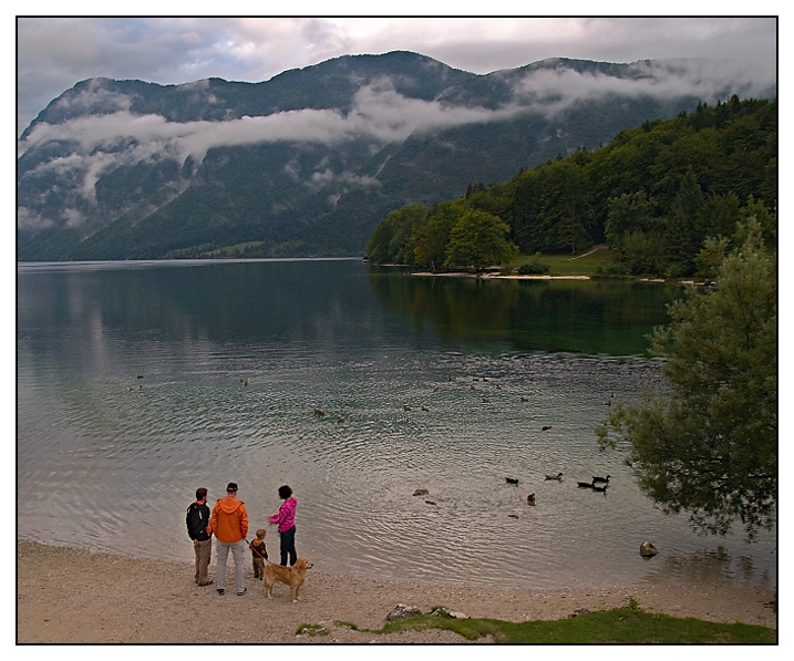 p9045625-u-bohinjskeho-jezera