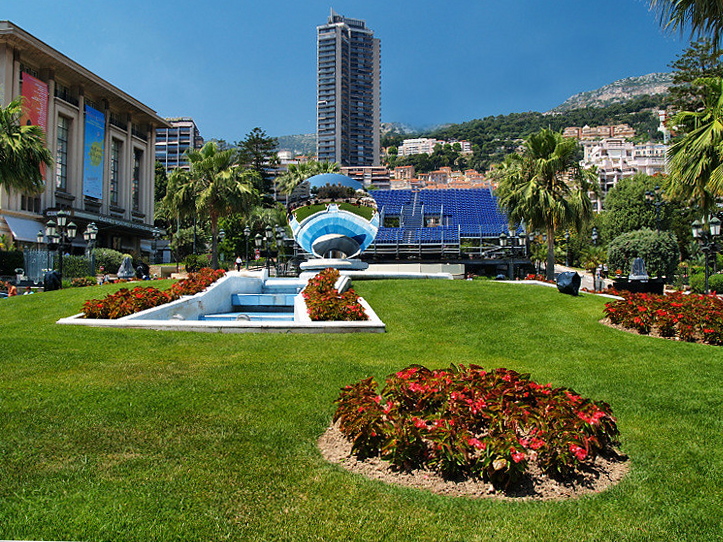 P6030330 x V Monte Carlu II