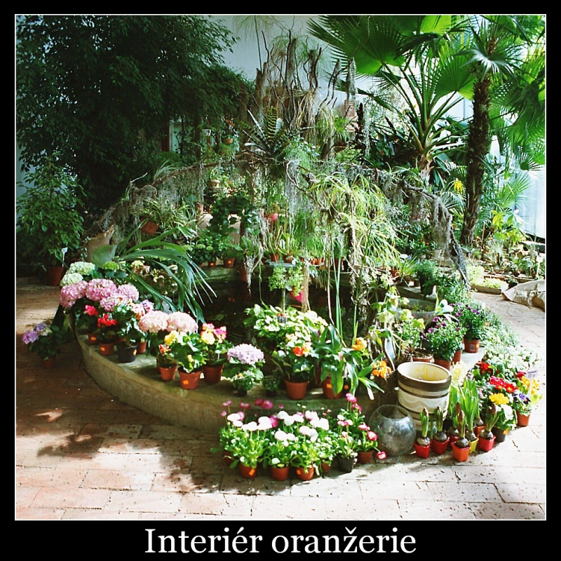 interier-oranzeriex